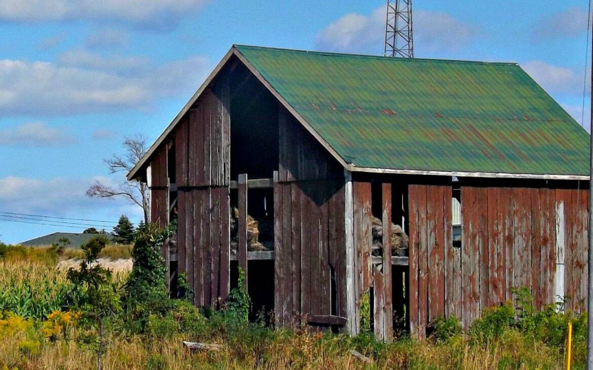 abandoned_barn_foilage_wood_slats_farms_1440x900_hd-wallpaper-1549220.jpg