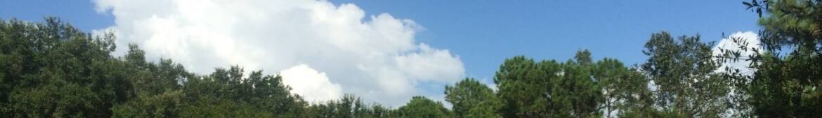 cropped-cropped-cropped-IMG_11382.jpg