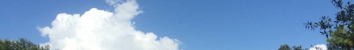 cropped-cropped-cropped-IMG_113821.jpg