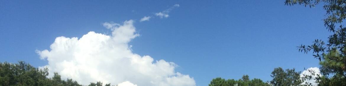 cropped-cropped-cropped-IMG_113822.jpg