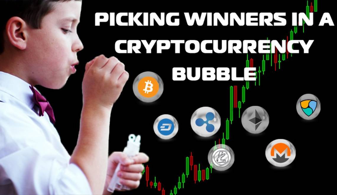 Picking Winners in a Cryptocurrency Bubble